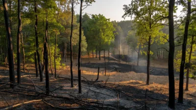 Dordogne : incendie de Sainte-Eulalie-d'Ans maîtrisé, 7 hectares brûlés