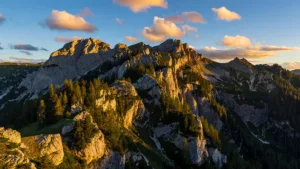 Doubs : plan de chasse fixé à 331 chamois maximum, l&rsquo;ASPAS dénonce