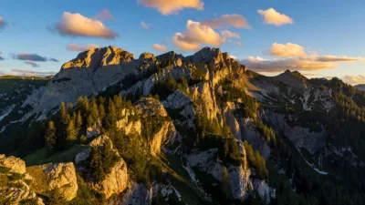 Doubs : plan de chasse fixé à 331 chamois maximum, l&rsquo;ASPAS dénonce
