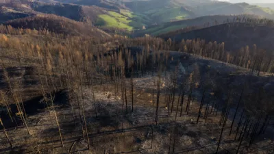 Drôme : l'État débloque 1 million d'euros pour relancer le Diois après l'incendie
