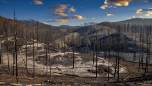 Drôme : l&rsquo;État débloque 1 million d&rsquo;euros pour relancer le Diois après l&rsquo;incendie