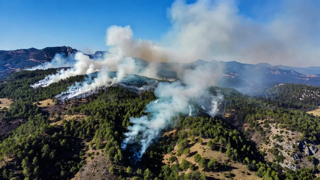 Drôme : près de 250 pompiers mobilisés face au feu dans le massif de Justin