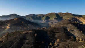 Espagne : 13 morts dans l&rsquo;incendie d&rsquo;Almería, retour des évacués après stabilisation
