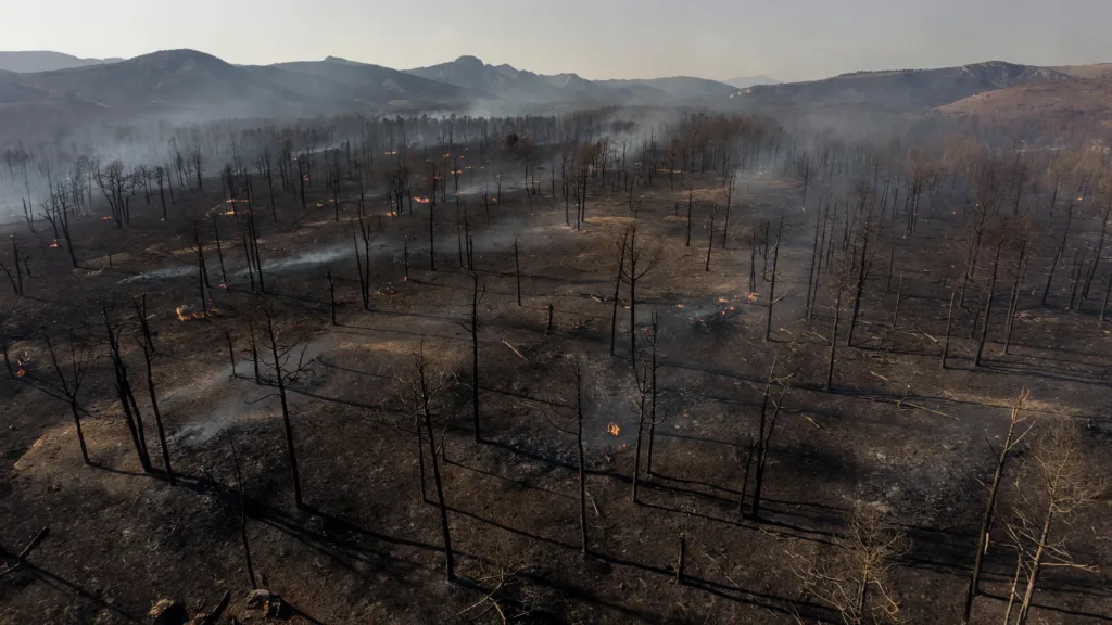 Espagne : incendies historiques près de Madrid, 60 000 personnes évacuées
