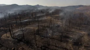 Espagne : incendies historiques près de Madrid, 60 000 personnes évacuées