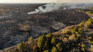 Espagne : plus de 13 000 hectares ravagés par un incendie près de Madrid