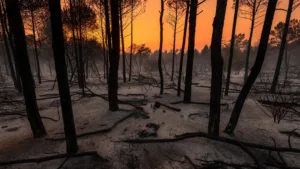 Espagne : records de chaleur historiques en juin, plus de 1000 morts