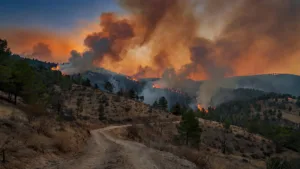 Espagne : un incendie hors de contrôle force l&rsquo;évacuation de 14 villages à Zamora