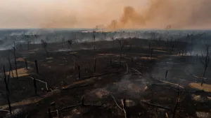 Espagne : un mégafeu historique dévore 32 000 hectares à Guadalajara