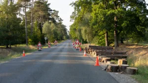 Essonne : 1 350 arbres malades abattus sur la RN20 pour sécuriser l&rsquo;axe sud