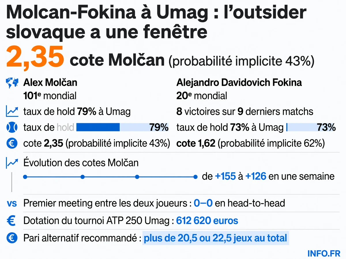 Comparaison des statistiques et cotes des deux joueurs pour le quart de finale ATP Umag entre Alex Molčan et Alejandro Davidovich Fokina le 16 juillet 2026