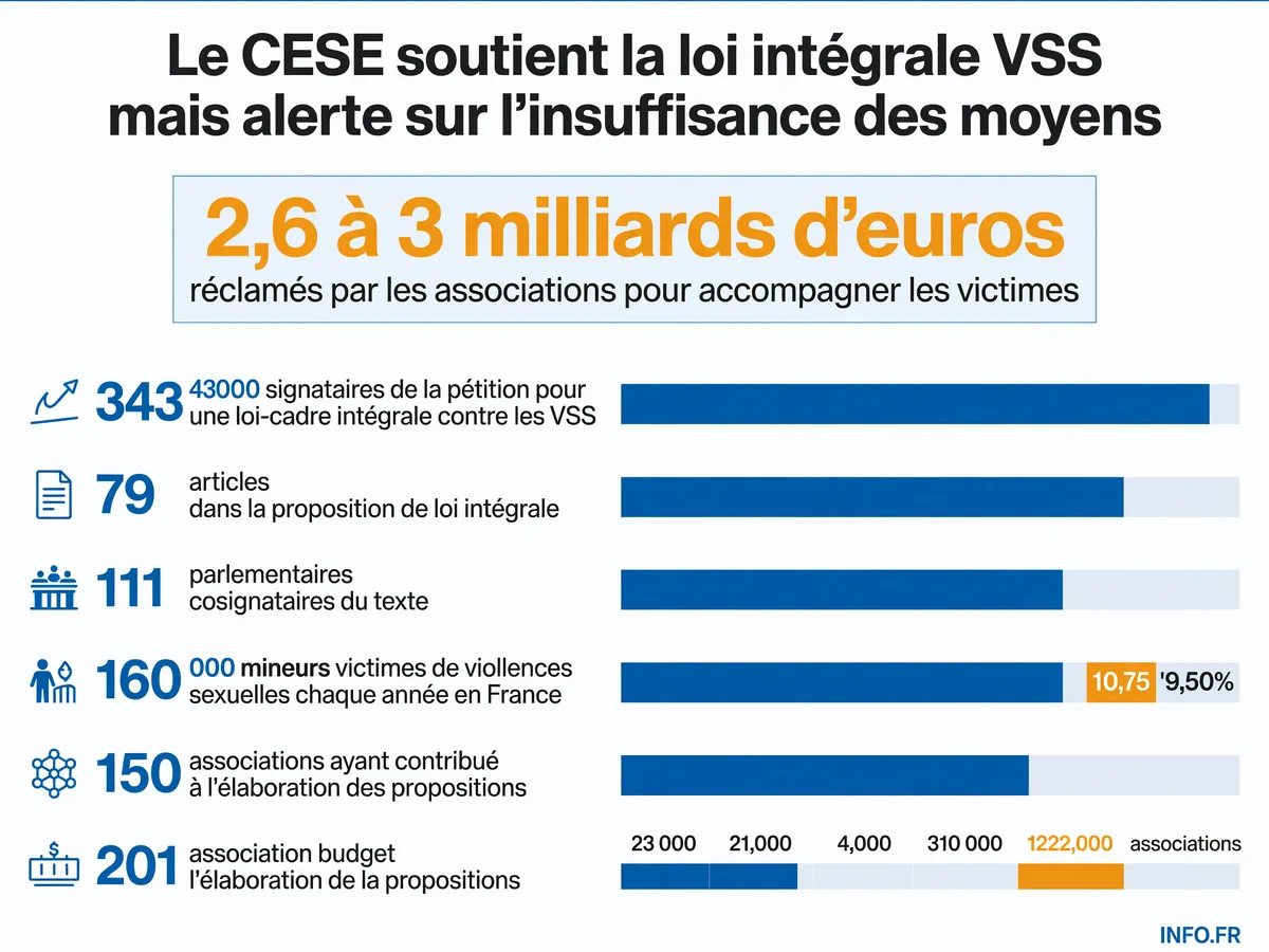 Infographie présentant les données clés de la proposition de loi intégrale contre les violences sexistes et sexuelles soutenue par le CESE: 343 000 signataires, 79 articles, 160 000 mineurs victimes par an, 2,6 milliards d'euros réclamés.