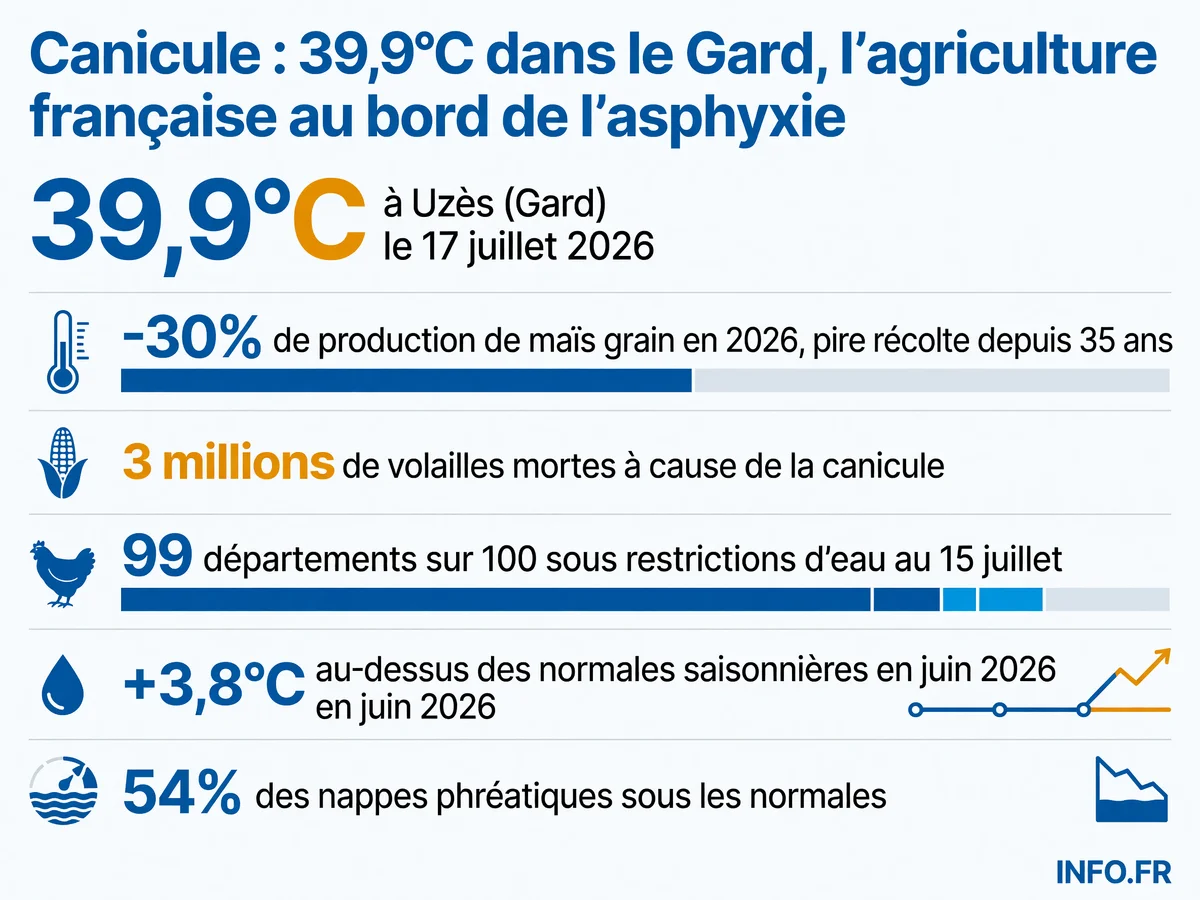 Données chiffrées de la canicule de juillet 2026 en France: températures record, effondrement des productions agricoles, mortalité animale et crise de l'eau généralisée