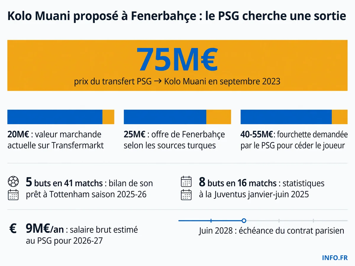 Parcours financier et sportif de Randal Kolo Muani depuis son transfert au PSG en 2023: dépréciation de 75 à 20 millions d'euros en trois ans.