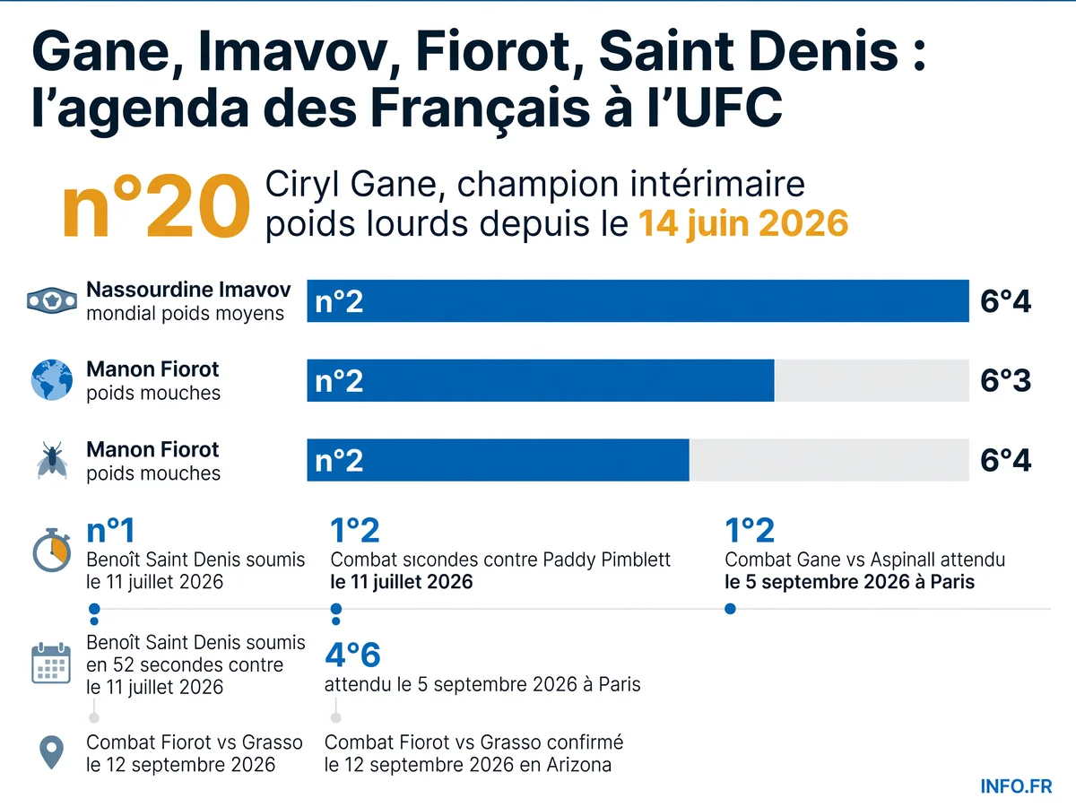 Calendrier et statuts des quatre combattants français majeurs de l'UFC entre juin et décembre 2026