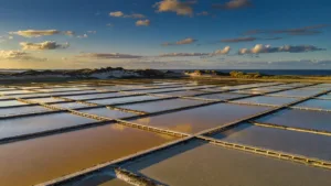 Face à la montée des eaux, Oléron relance ses marais salants