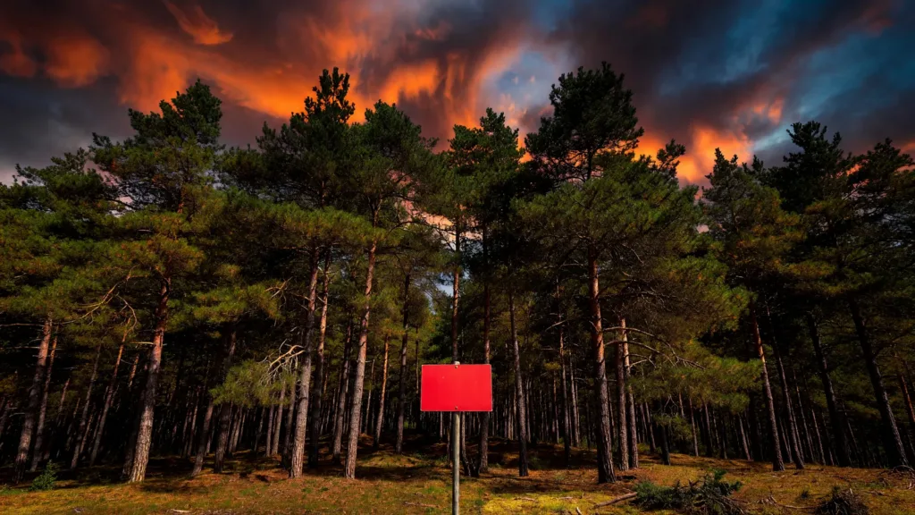 Feux de forêt : 90 communes de Corrèze classées à risque, débroussaillage obligatoire