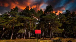 Feux de forêt : 90 communes de Corrèze classées à risque, débroussaillage obligatoire