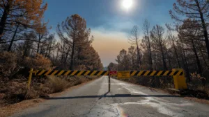 Feux de forêt en Aveyron : les autorités renforcent la prévention