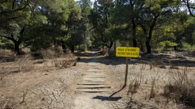 Feux de forêt : l'Essonne en vigilance orange, la préfecture serre la vis