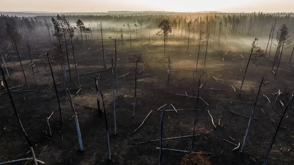 Fontainebleau : deux ouvriers mis en examen pour l'incendie de la forêt