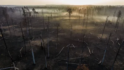 Fontainebleau : deux ouvriers mis en examen pour l'incendie de la forêt