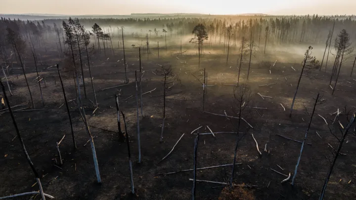 Fontainebleau : deux ouvriers mis en examen pour l'incendie de la forêt