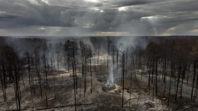 Fontainebleau : deux suspects de 18 et 20 ans interpellés pour l'incendie