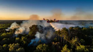 Fontainebleau : un Canadair endommagé et retiré du dispositif sur l&rsquo;incendie