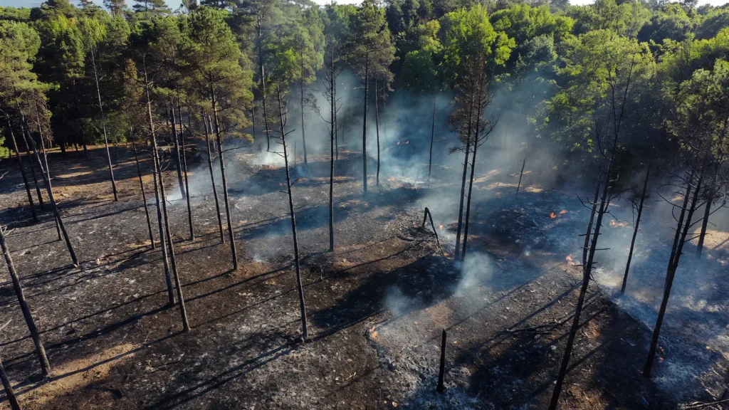 Fontainebleau : un jeune pompier volontaire avoue avoir allumé l'incendie