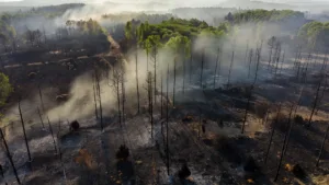 Fontainebleau : un pompier volontaire avoue avoir allumé le feu