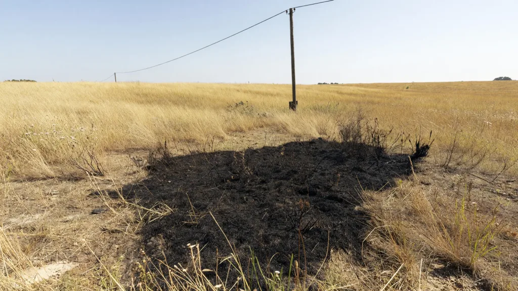 Gaillan-Médoc : deux cigognes provoquent un incendie et une coupure de courant