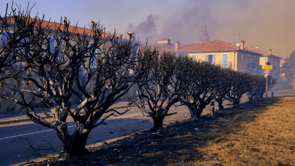 Gard : un feu de haie détruit 5 000 m² de végétation à Bourdic