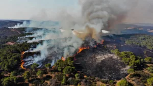 Gard : violent incendie à Lédenon, 350 hectares brûlés, l&rsquo;A9 coupée et trois communes confinées