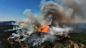 Gironde : 2000 ha brûlés, 12000 évacués, six campings vidés près du Cap Ferret