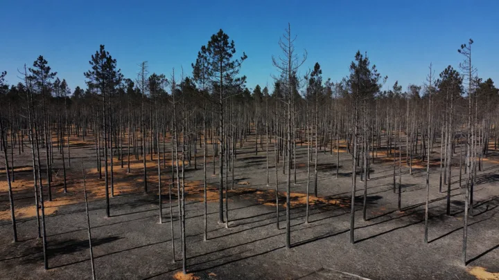 Gironde : 84 000 habitants autorisés à rentrer, le mégafeu stabilisé