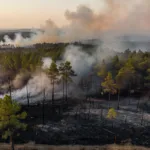 Gironde : le feu « toujours actif », les pompiers pas maîtres du sinistre