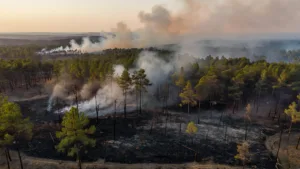 Gironde : le feu « toujours actif », les pompiers pas maîtres du sinistre