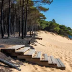 Gironde : l'U2P appelle les vacanciers à venir cet été