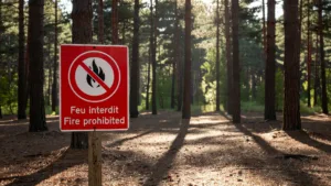 Gironde : trois gardes à vue pour cigarette et barbecue en forêt