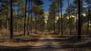 Gironde : vigilance orange incendies reconduite, accès aux forêts interdit