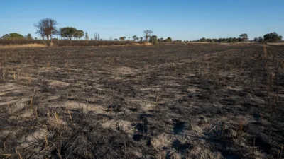 Graçay : 12 hectares de chaumes et broussailles brûlés, incendie maîtrisé