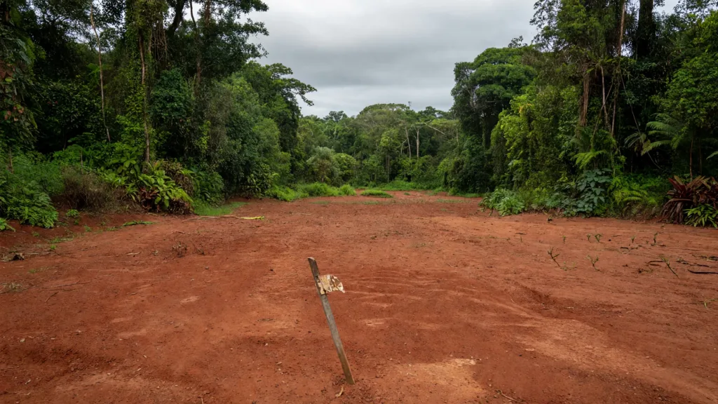 Guyane : une Maison du cinéma à 11 M€ actée à Macouria