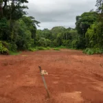 Guyane : une Maison du cinéma à 11 M€ actée à Macouria