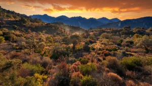 Haute-Corse : risque incendie très sévère, massifs fermés et GR20 évacué