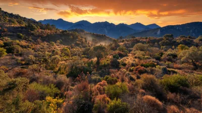 Haute-Corse : risque incendie très sévère, massifs fermés et GR20 évacué