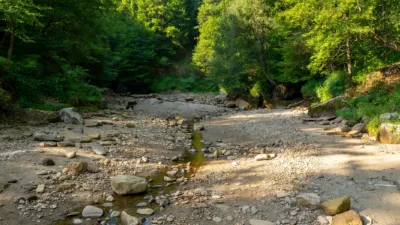 Haute-Loire : la canicule asphyxie les cours d'eau, restrictions d'usage