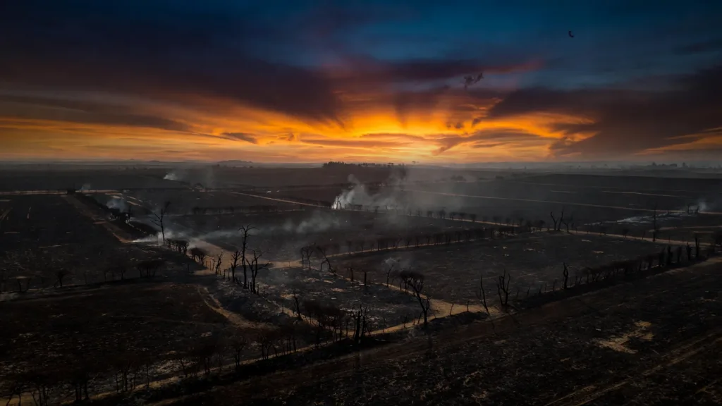 Haute-Vienne : la préfecture active une cellule de crise après 200 hectares brûlés