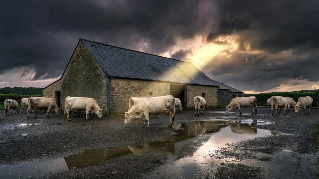 Haute-Vienne : le préfet visite des fermes touchées par orages et incendie