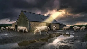 Haute-Vienne : le préfet visite des fermes touchées par orages et incendie